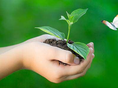 Our Vision and Mission